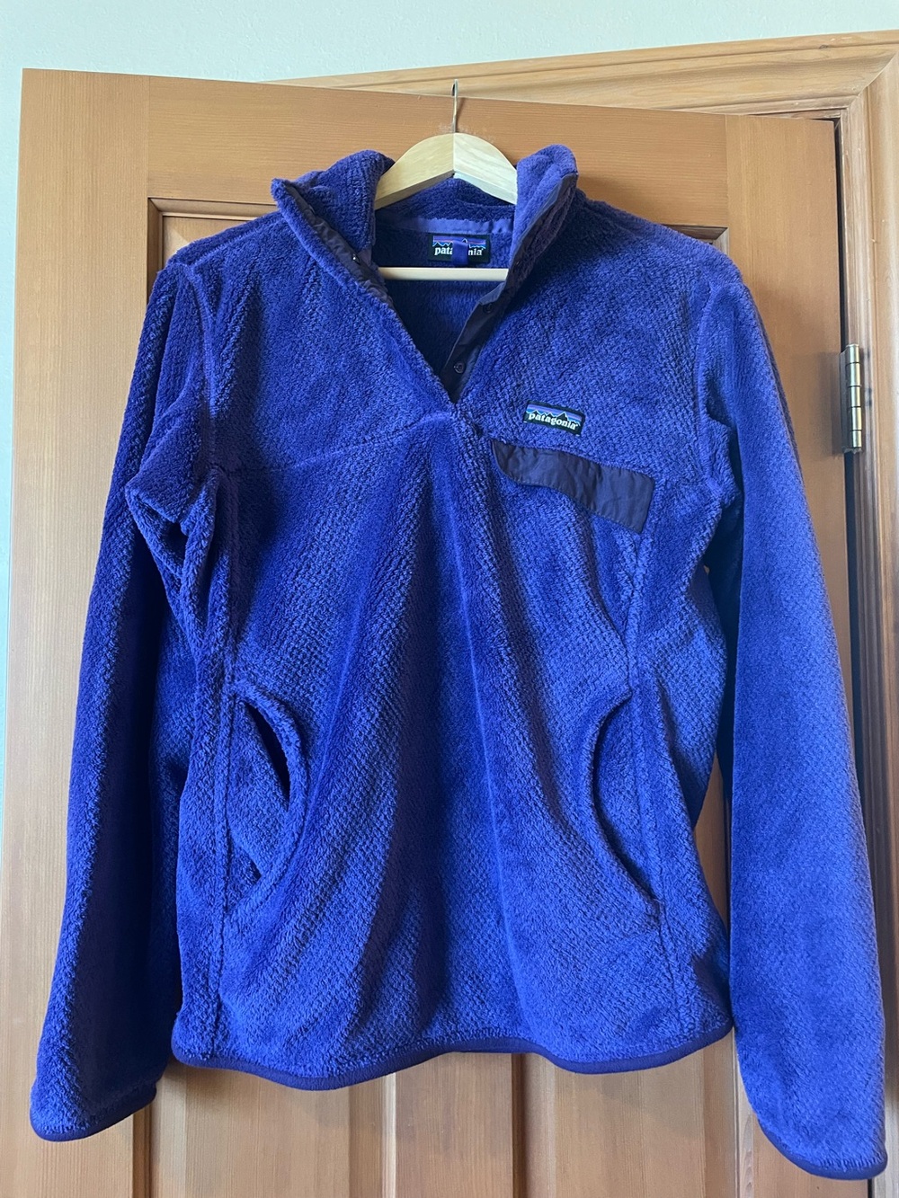 Patagonia women’s fleece pullover